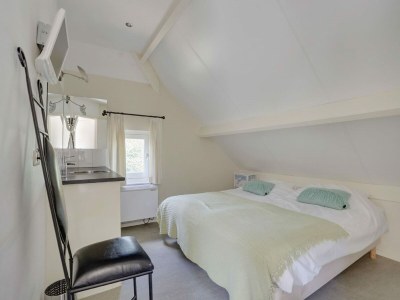 Holiday park Villa in Netherlands with Sauna & Comfort - Features photo 9