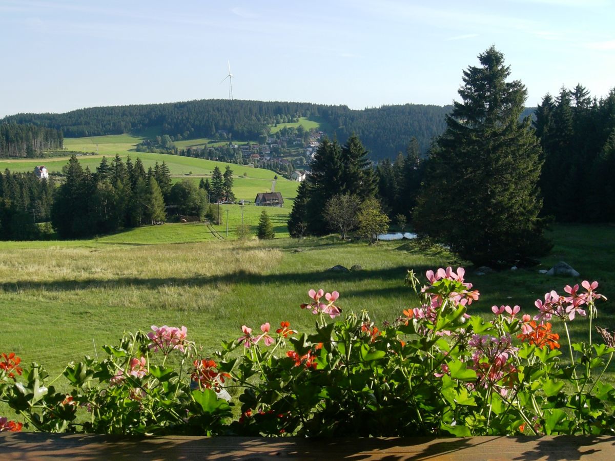 Holiday apartment Reiner in Schonach im Schwarzwald - Outdoor photo 4