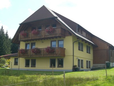 Holiday apartment Reiner in Schonach im Schwarzwald - Outdoor photo 3