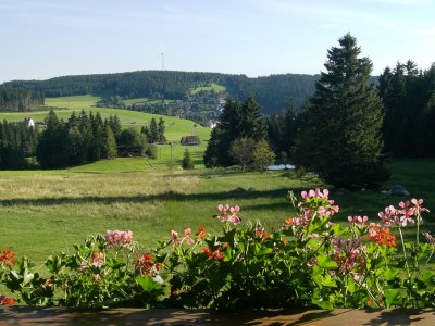Holiday apartment Reiner in Schonach im Schwarzwald - Outdoor photo 4
