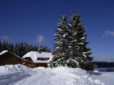 Holiday apartment Reiner in Schonach im Schwarzwald - Outdoor photo 6