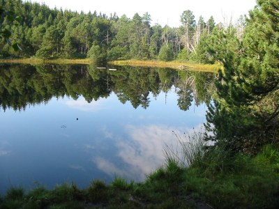 Holiday apartment Reiner in Schonach im Schwarzwald - Environment photo 19