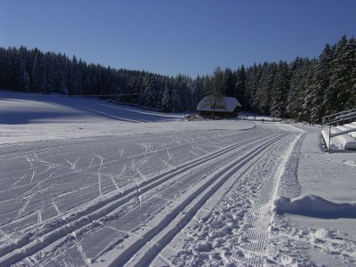Holiday apartment Reiner in Schonach im Schwarzwald - Environment photo 20