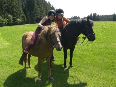 Holiday apartment Reiner in Schonach im Schwarzwald - Environment photo 24