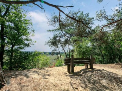 Holiday park Villa in Sandberghe mit Sauna und Komfort - Environment photo 15