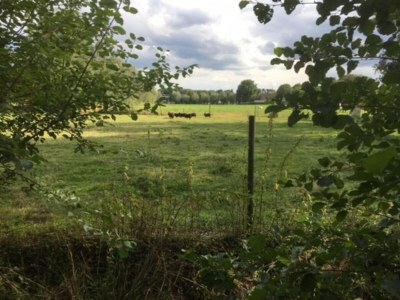 Holiday park Villa in Sandberghe mit Sauna und Komfort - Environment photo 28