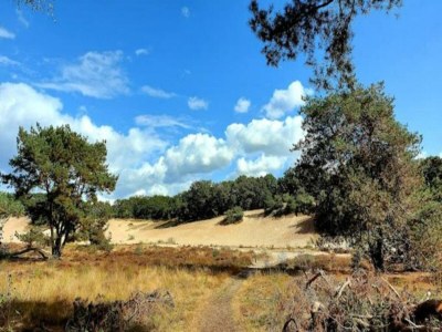 Holiday park Villa in Sandberghe mit Sauna und Komfort - Environment photo 30