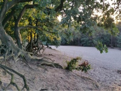 Holiday park Villa in Sandberghe mit Sauna und Komfort - Environment photo 32