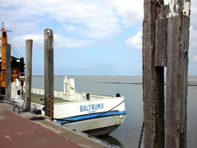 Holiday house Ferienhaus Albatros in Neßmersiel - Outdoor photo 18
