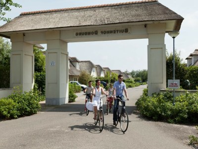Holiday park Villa in Domburg near North Sea Beach - Environment photo 11