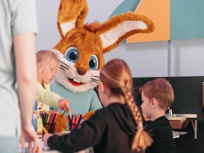 Holiday park Villa in Domburg near North Sea Beach - Outdoor photo 20