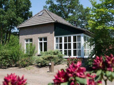 Holiday park Luxury Villa in De Pier with Sauna - Outdoor photo 2
