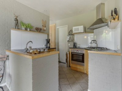 Holiday park Luxury Villa in De Pier with Sauna - Features photo 11