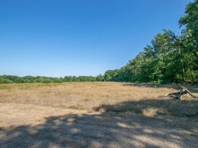 Holiday park Luxury Villa in De Pier with Sauna - Environment photo 25