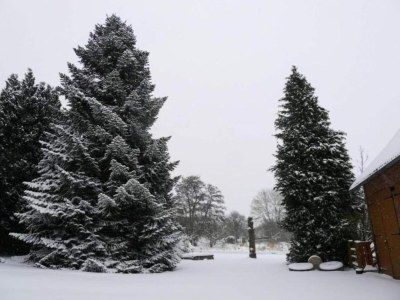 Holiday park Ferienwohnung mit Loggia im Teutoburger Wald - Environment photo 10