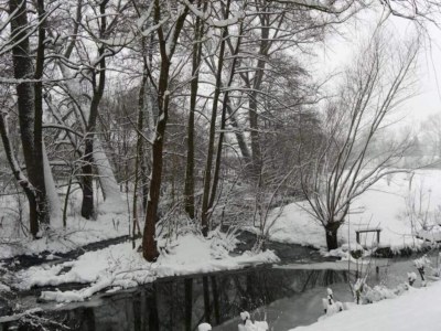 Holiday park Ferienwohnung mit Loggia im Teutoburger Wald - Environment photo 17