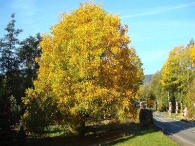Holiday park Ferienwohnung mit Loggia im Teutoburger Wald - Environment photo 19
