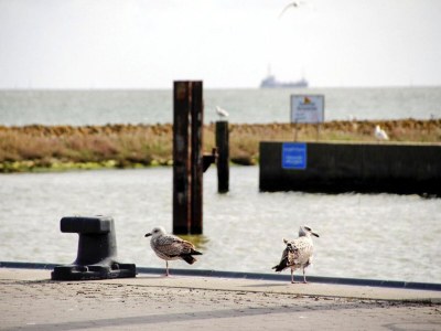Bungalow Bungalow Kabeljau, Dornumersiel - Environment photo 10