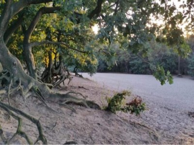 Holiday park Bungalow mit Terrasse in Bedafse Bergen - Environment photo 19