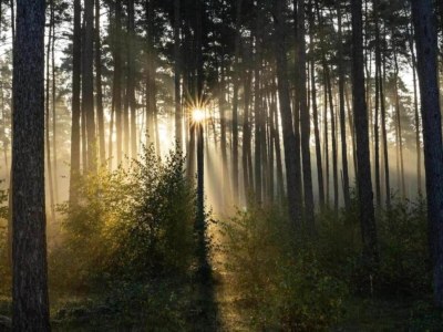 Holiday park Holiday Home in Germany with Garden Terrace - Environment photo 12