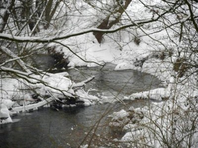 Holiday park Holiday Home in Germany with Garden Terrace - Environment photo 20