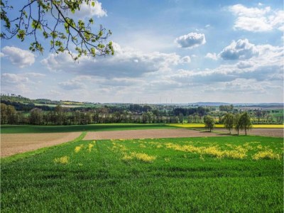 Holiday park Holiday Home in Germany with Terrace - Environment photo 15