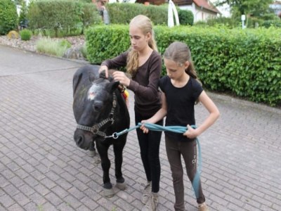 Holiday park Holiday Home in Germany with Terrace - Outdoor photo 27