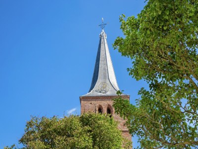 Holiday park Chalet near Dutch Beaches and Town Center - Environment photo 18