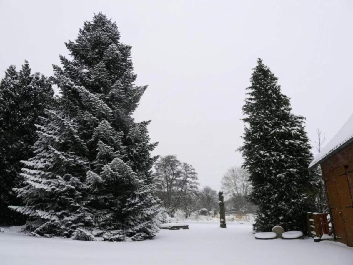 Holiday park Ferienhaus in Deutschland mit Loggia - Environment photo 4