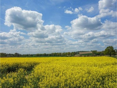 Holiday park Ferienhaus in Deutschland mit Loggia - Environment photo 17
