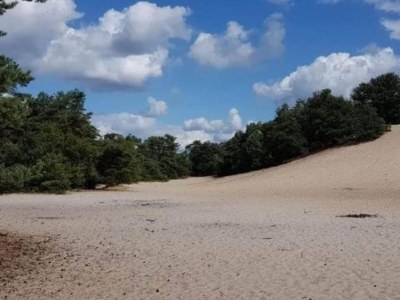 Holiday park Wohnung in den Niederlanden bei Kanälen - Environment photo 18