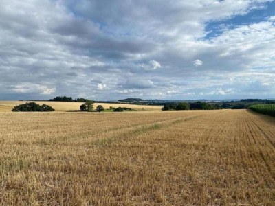 Holiday park Holiday Home in Germany with Garden Terrace - Environment photo 30