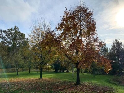 Holiday park Entspannender Chalet-Rückzugsort - Environment photo 7