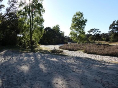 Holiday park Entspannender Chalet-Rückzugsort - Environment photo 13