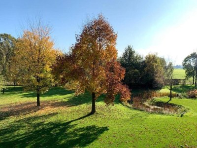 Holiday park Entspannender Chalet-Rückzugsort - Environment photo 15