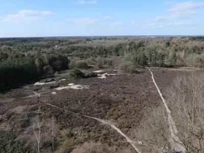 Holiday park Entspannender Chalet-Rückzugsort - Environment photo 16