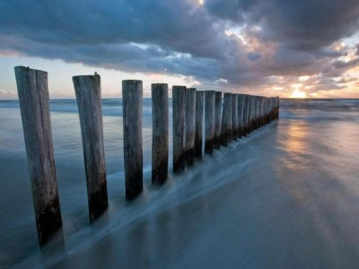 Holiday park Villa in Domburg near North Sea Beach - Environment photo 18