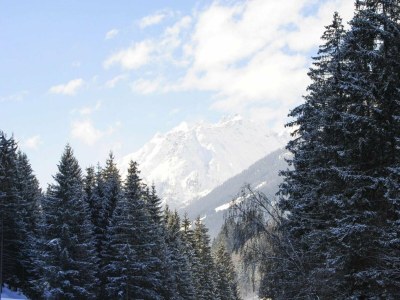 Apartment Apartment Val Sinestra, Kappl - Outdoor photo 16