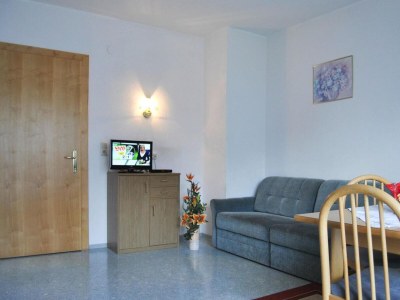 Apartment Apartment Val Sinestra, Kappl - Features photo 21