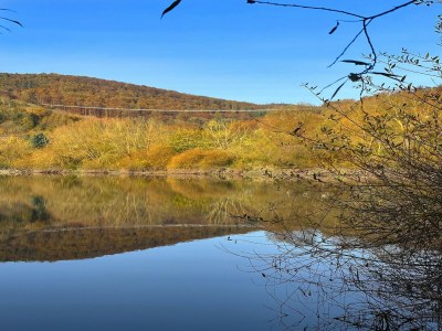 Holiday park Holiday Home in Germany with Idyllic Nature - Environment photo 23