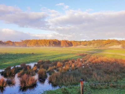 Holiday park Villa in Domburg near North Sea Beach - Environment photo 13