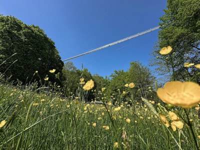 Holiday park Ferienhaus in Deutschland mit Naturblick - Environment photo 20
