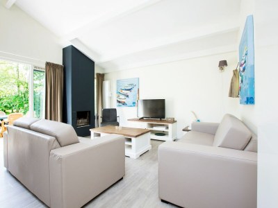 Holiday park Dune Villa in Kijkduin with Garden - Features photo 4