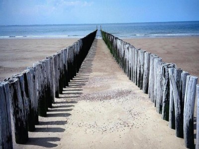 Holiday park Villa in Dishoek nahe Noordzee-Strand - Environment photo 36