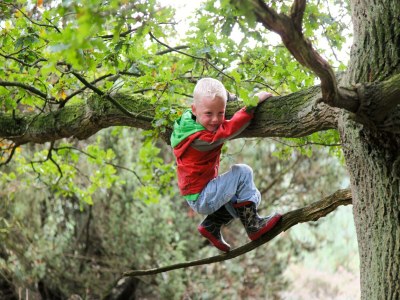 Holiday park Twente Dampfdusche Ferienhaus - Outdoor photo 29