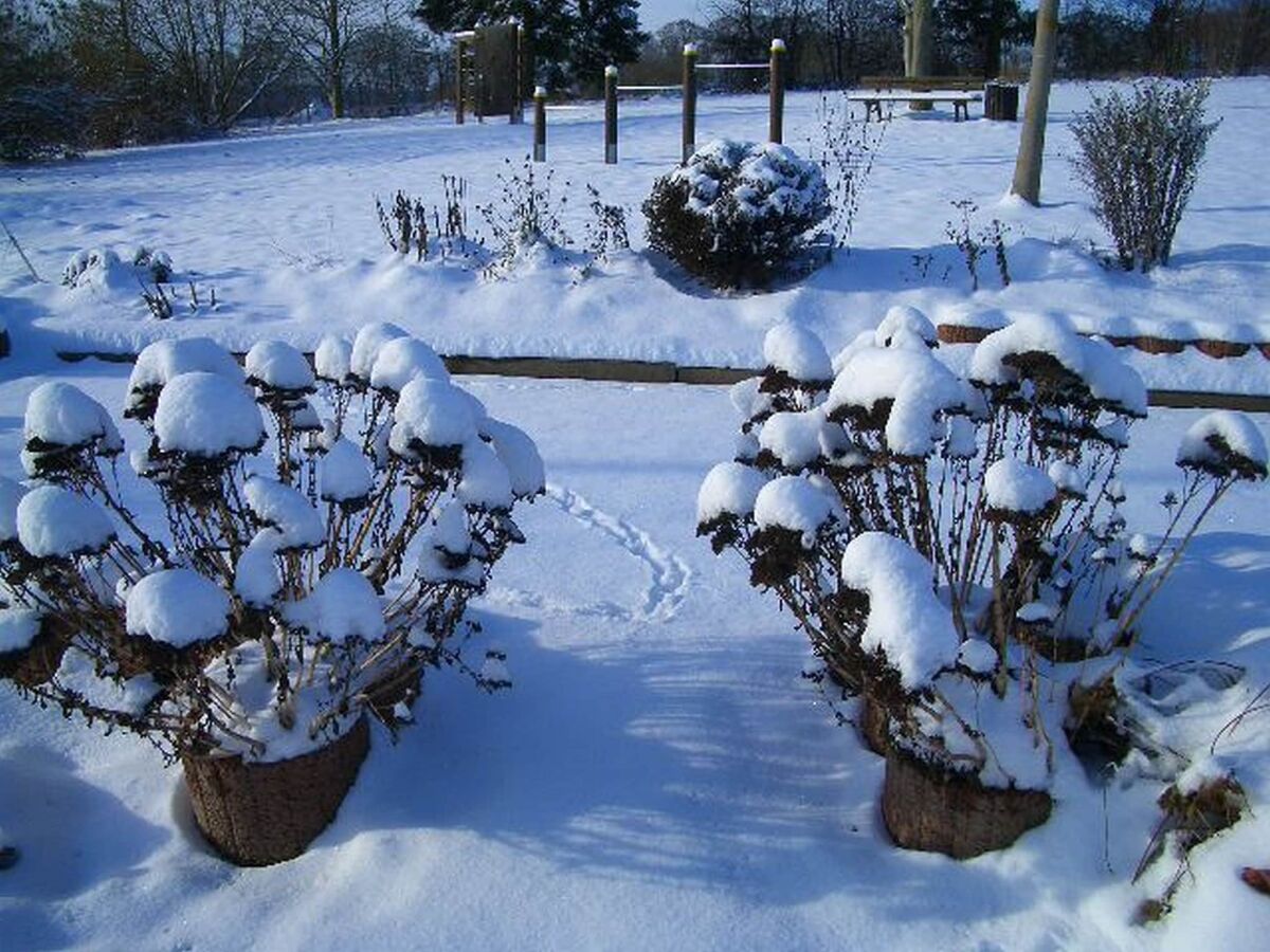 Holiday park Bungalow im Feriendorf Uslar mit Gartenterrasse - Outdoor photo 3