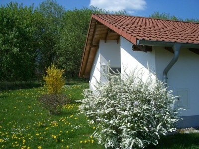 Holiday park Bungalow im Feriendorf Uslar mit Gartenterrasse - Outdoor photo 2