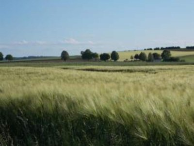 Holiday park Bungalow im Feriendorf Uslar mit Gartenterrasse - Environment photo 19