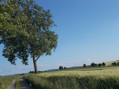 Holiday park Bungalow im Feriendorf Uslar mit Gartenterrasse - Environment photo 25