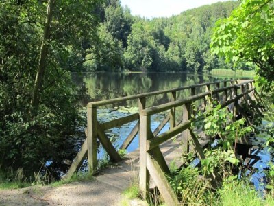 Holiday park Bungalow im Feriendorf Uslar mit Gartenterrasse - Environment photo 28